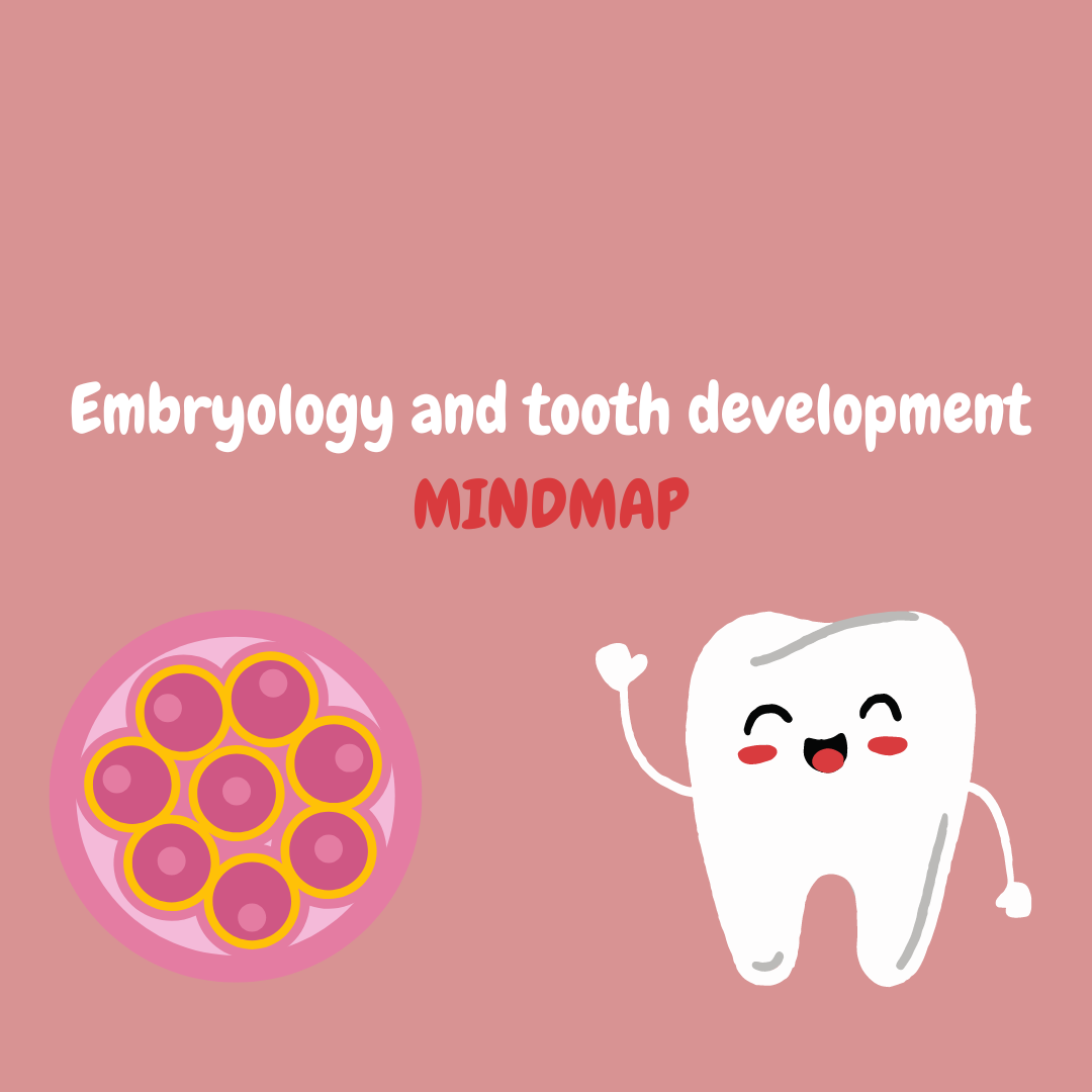 Embrylogy Tooth Development Embryology and tooth development mindmap – DentalPlant