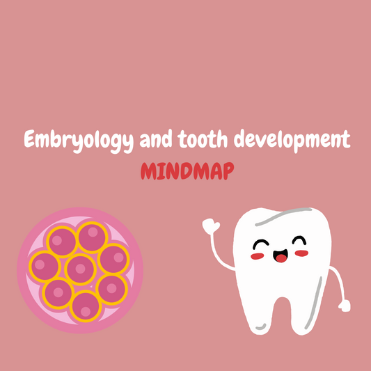 Embryology and tooth development mindmap