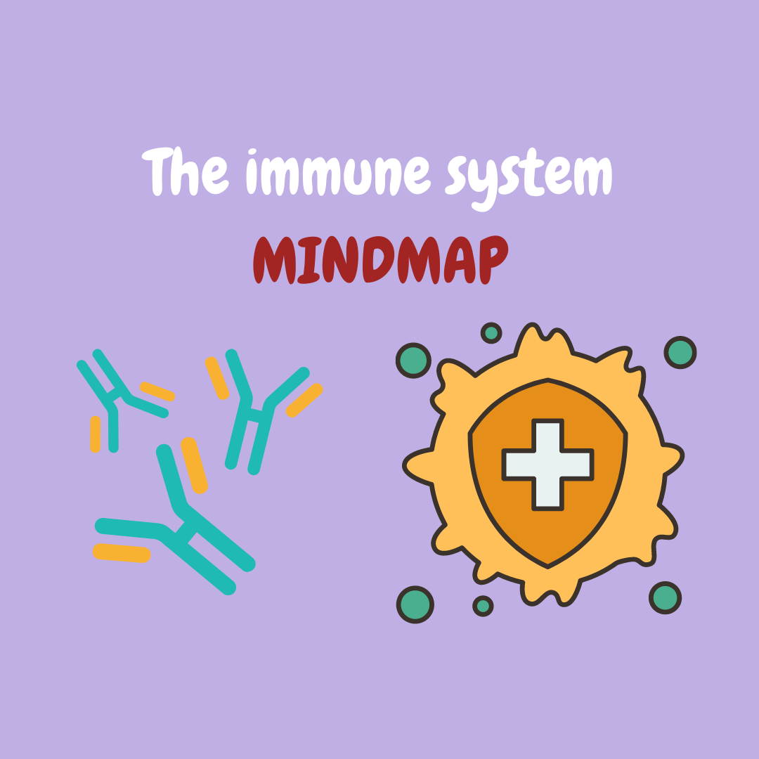 The immune system Mindmap